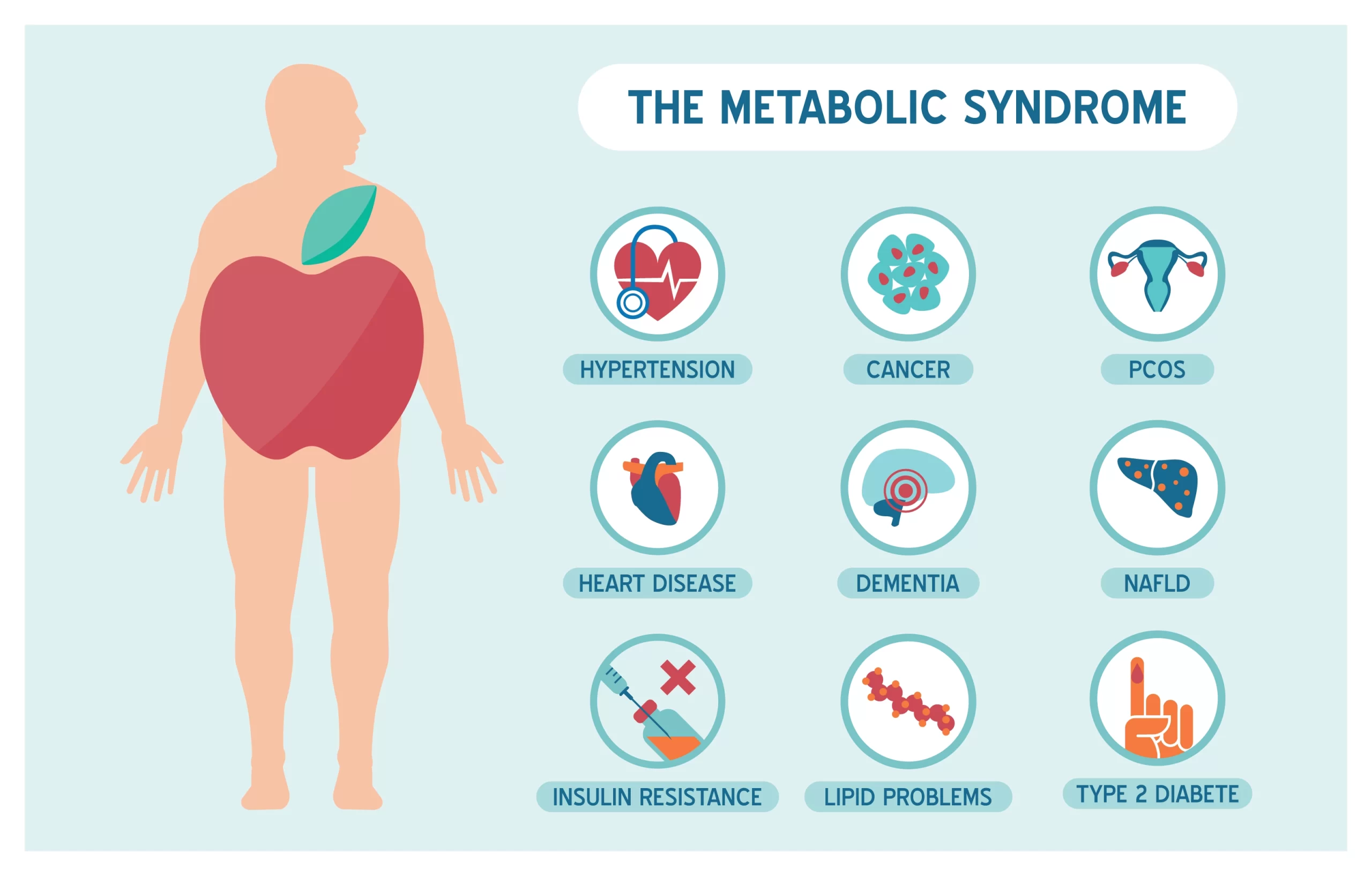 Syndrome Métabolique — Le lien entre l’obésité, le diabète et les maladies cardiaques